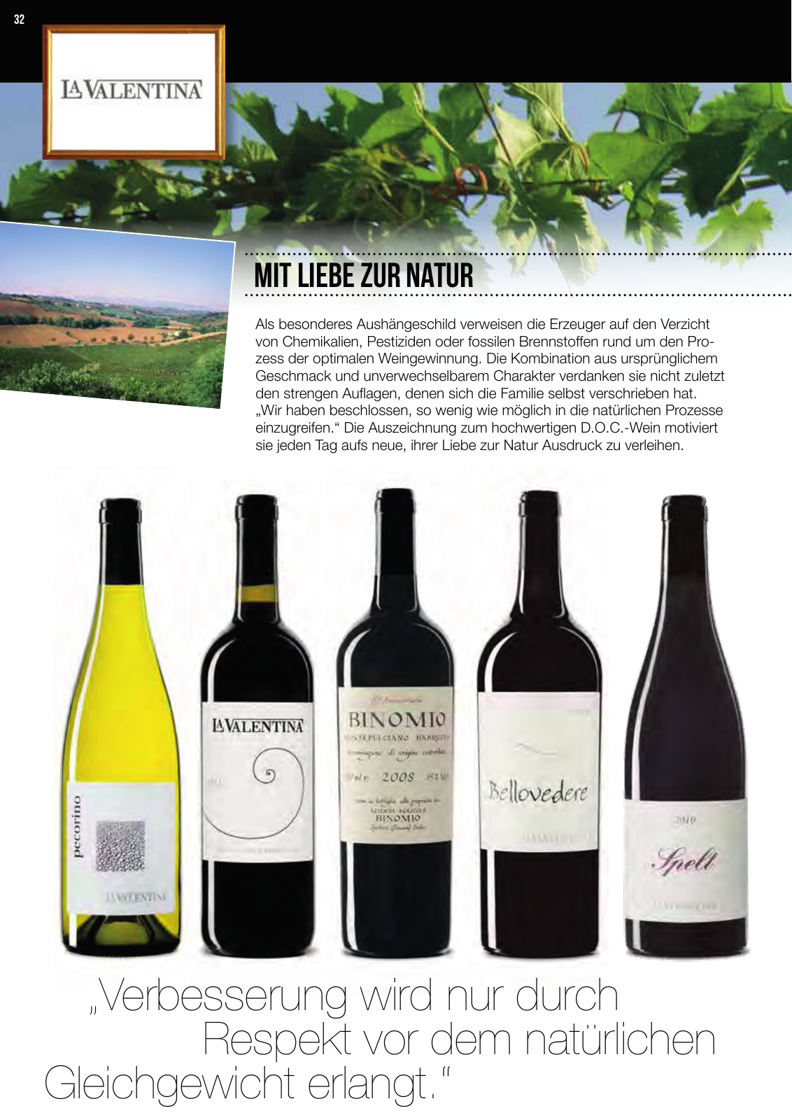 Vorschau 200220_Weinkatalog-2020_IlPanino Seite 32